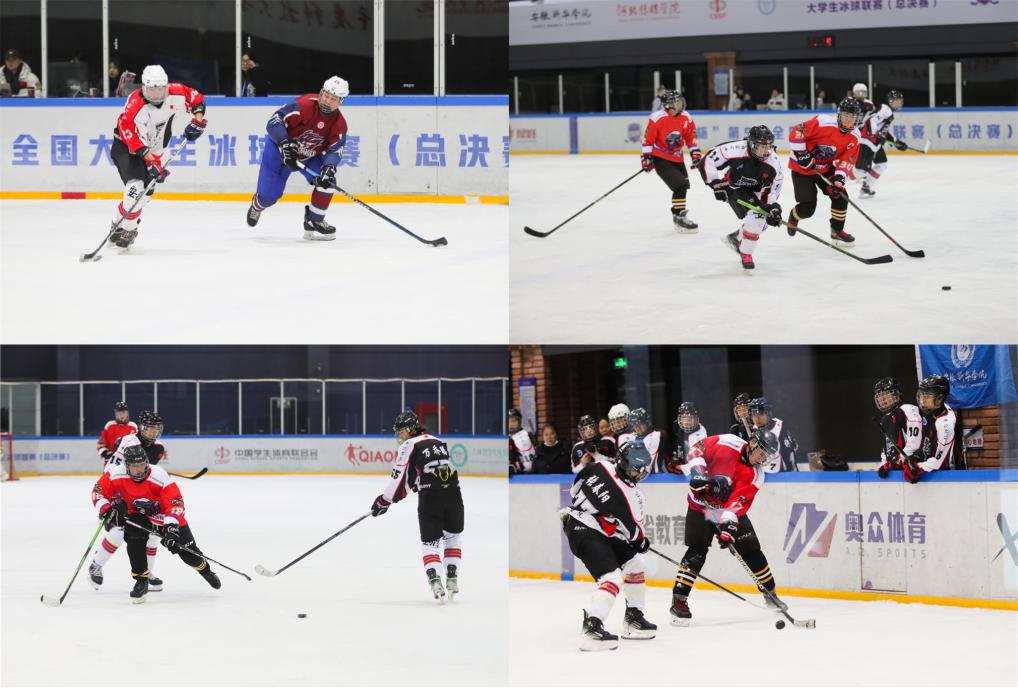 LOCAL1733800623040HQKFW5V76E.jpg LOCAL1733800623040HQKFW5V76E.jpg